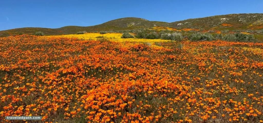Places To Visit In The US In March