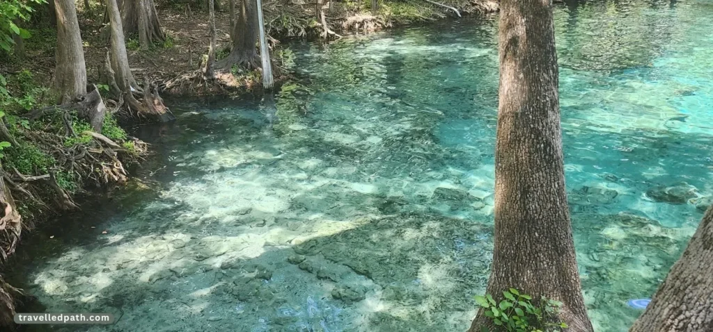 Best Springs In Florida For Families