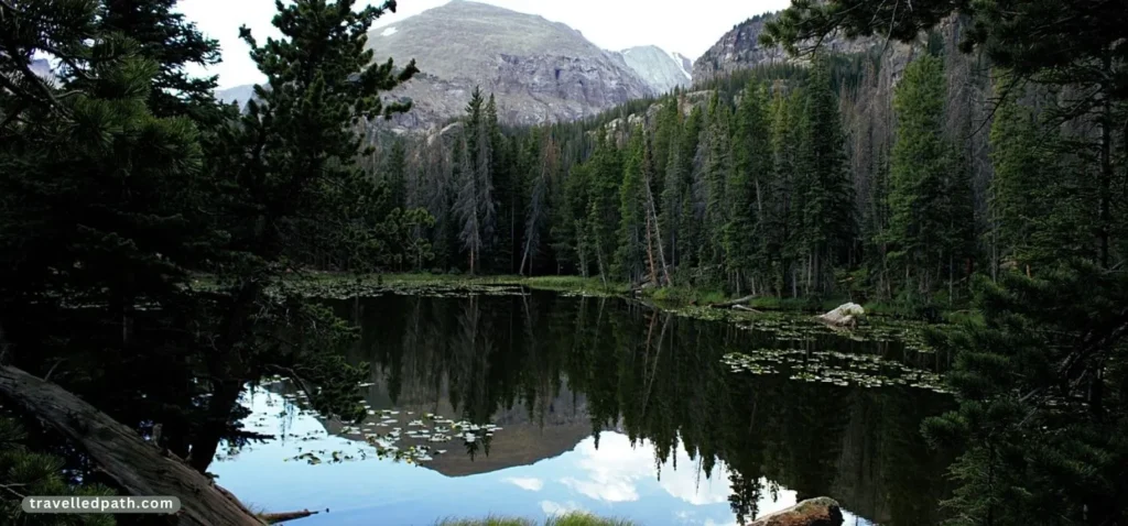 Places To Visit In The US In March
