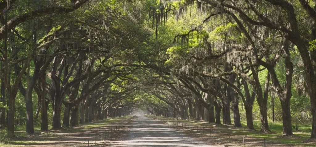 Underrated Summer Travel Ideas In USA
