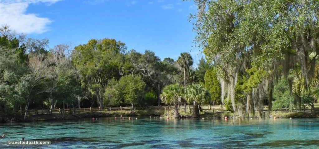 Best Springs In Florida For Families