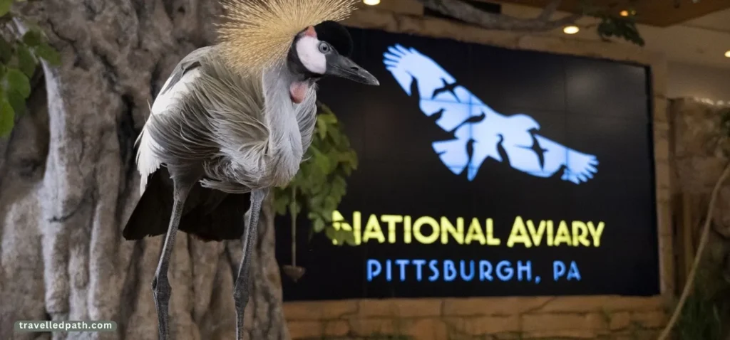Best Day Trips From Pittsburgh