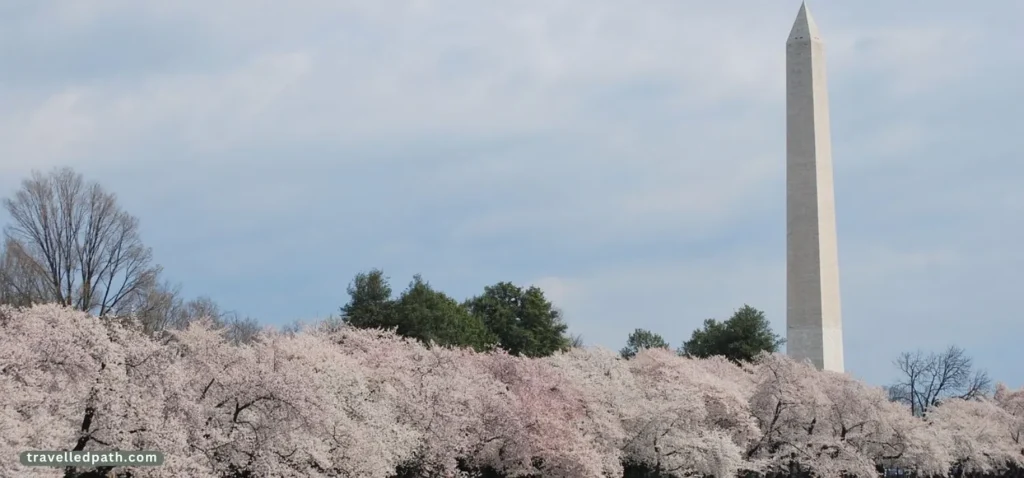 Places To Visit In The US In March