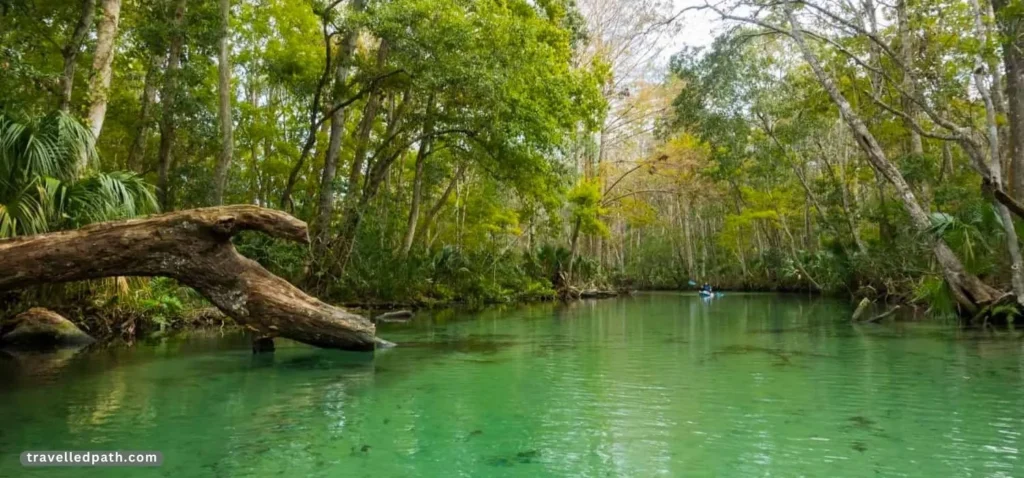 Best Springs In Florida For Families