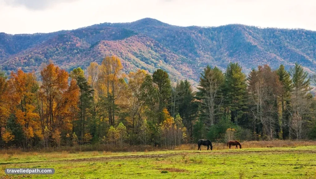 10 Most Visited National Parks In The US