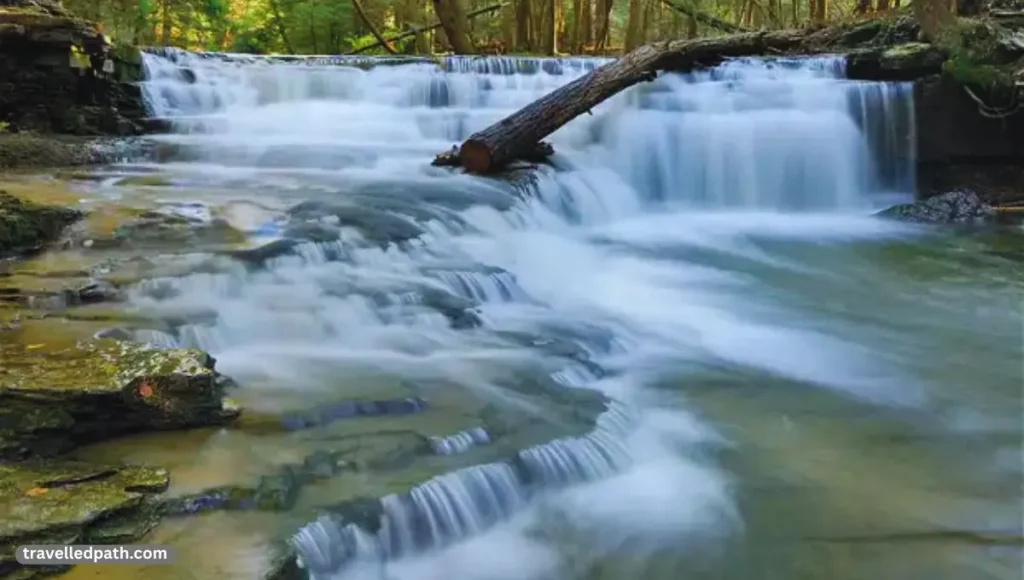 Best Swimming Holes Near Pittsburgh