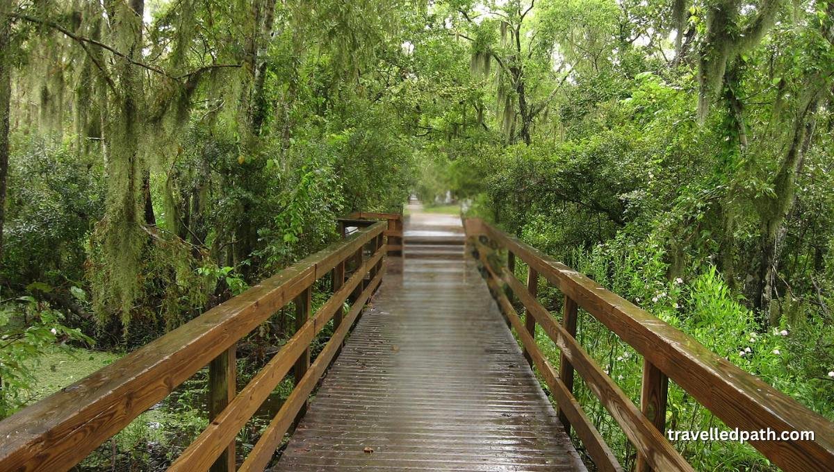 Day Trips from New Orleans
