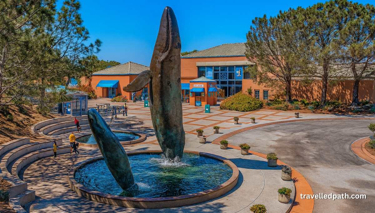 Things To Do In San Diego With Kids