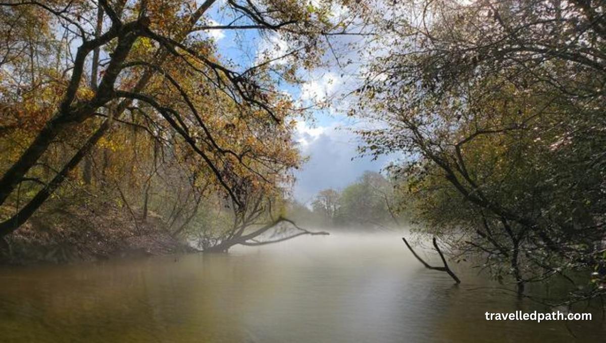 Day Trips from New Orleans