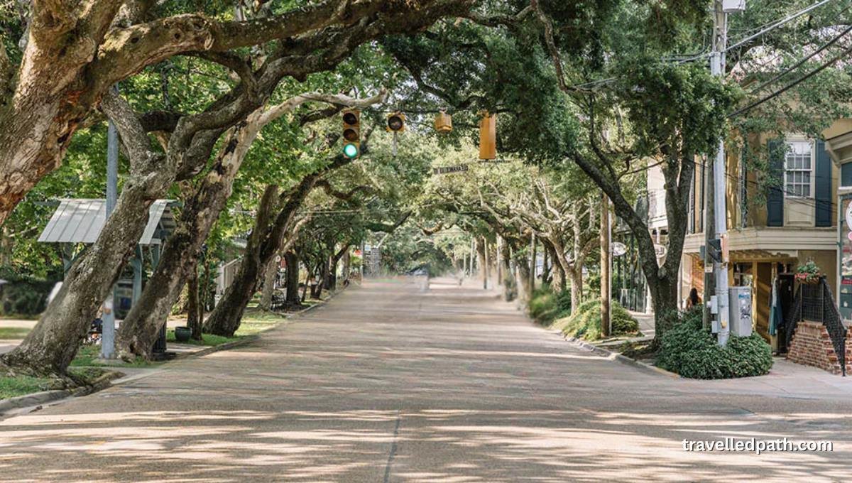 Day Trips from New Orleans