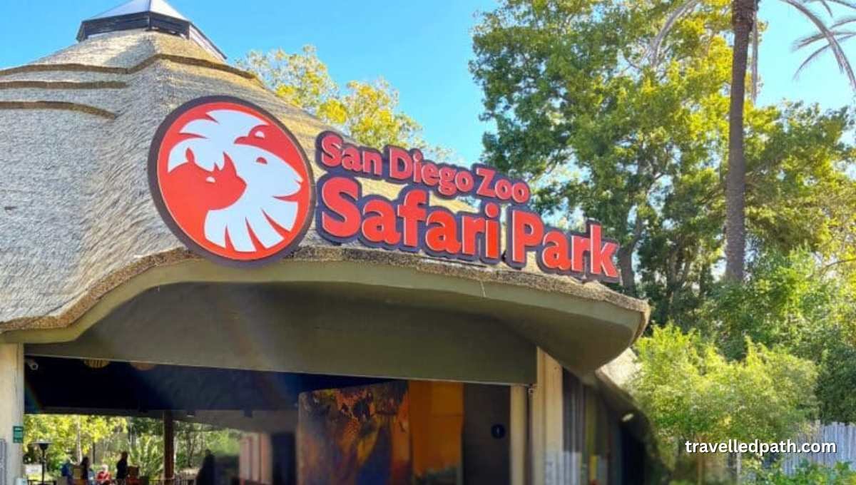 Things To Do In San Diego With Kids