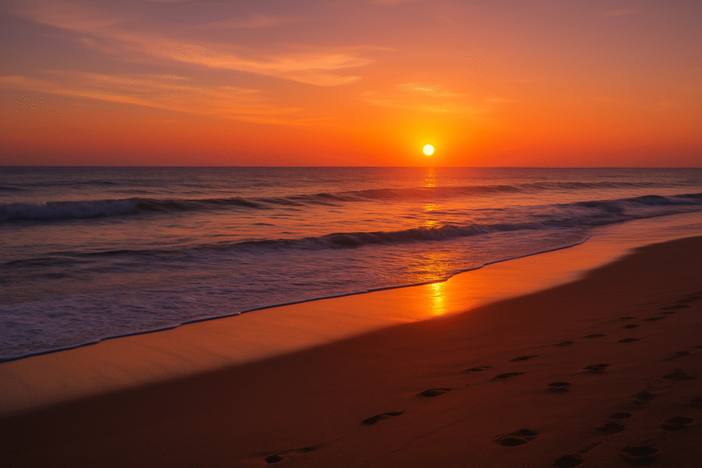 Things To Do In San Diego With Kids