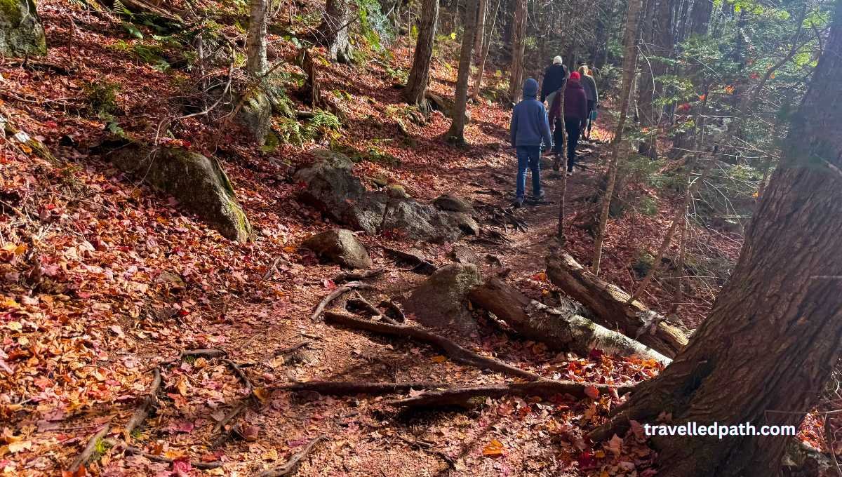 Artist Bluff Trail