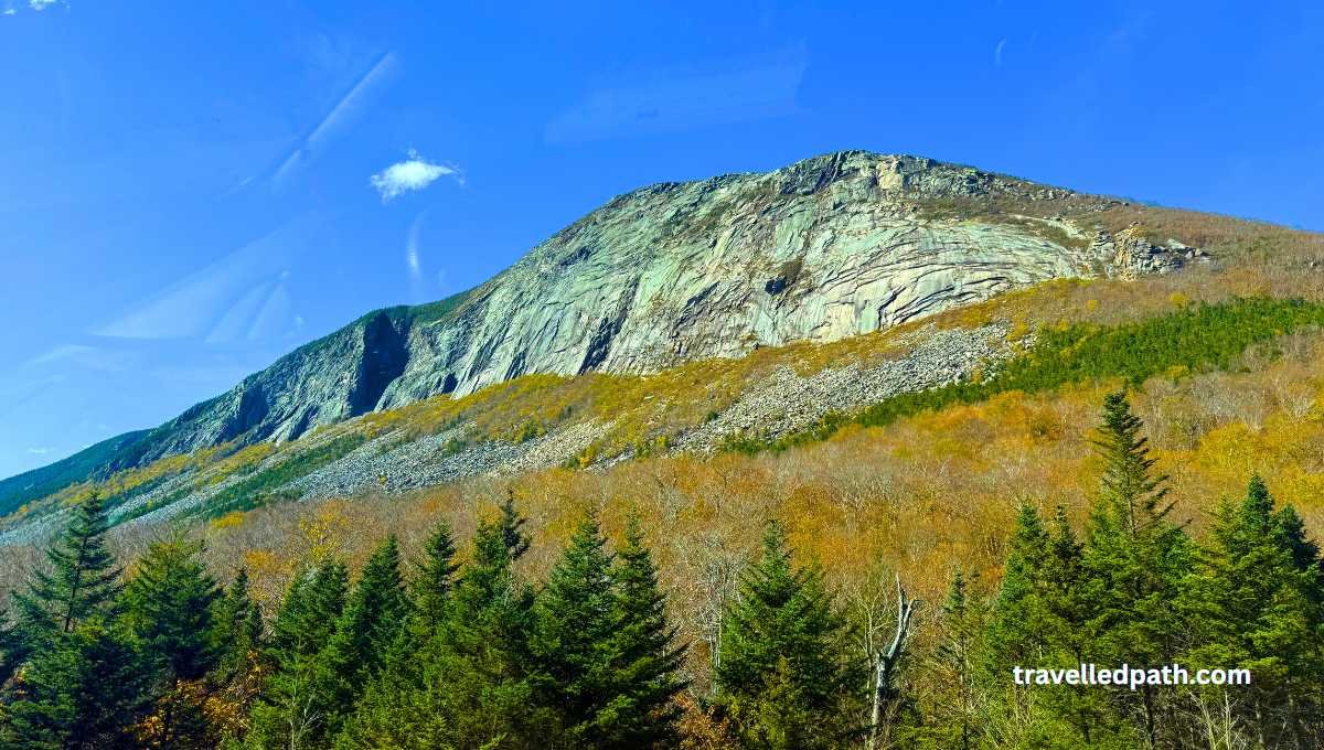 Artist Bluff Trail