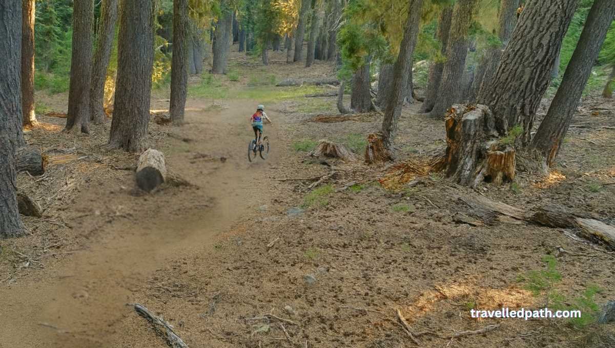 Things to Do in Bend Oregon