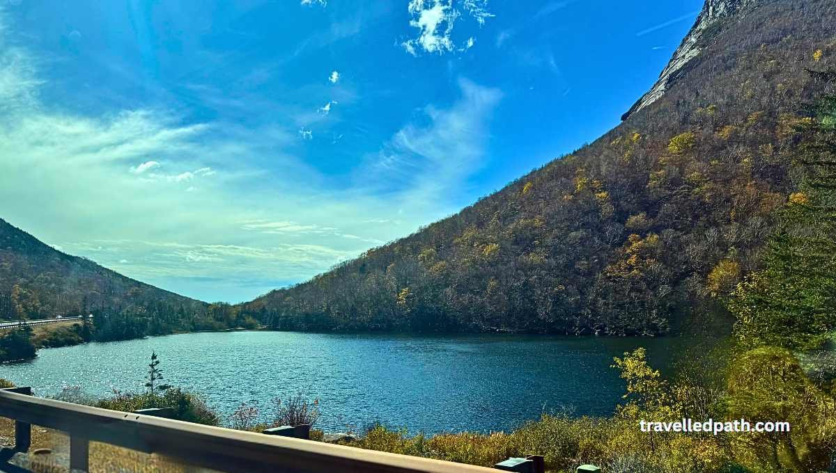 Artist bluff trail