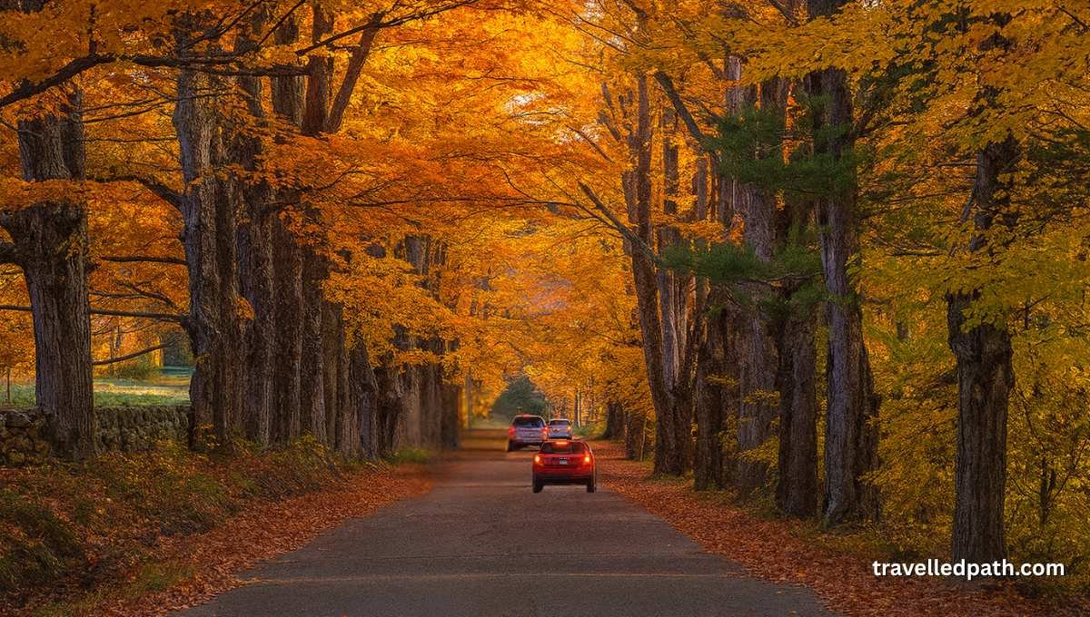 New Hampshire Fall Foliage