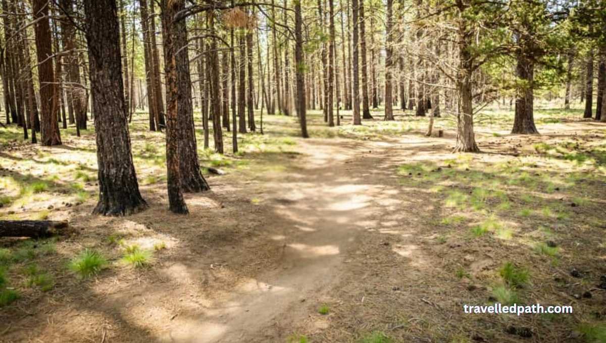 Things to Do in Bend Oregon