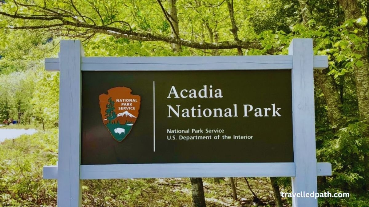 best things to do in Bar Harbor