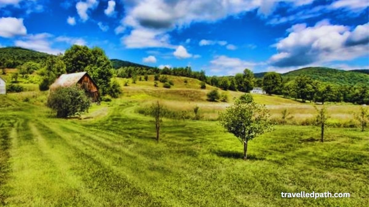 Sugarbush Farm Best Things to Do in Woodstock