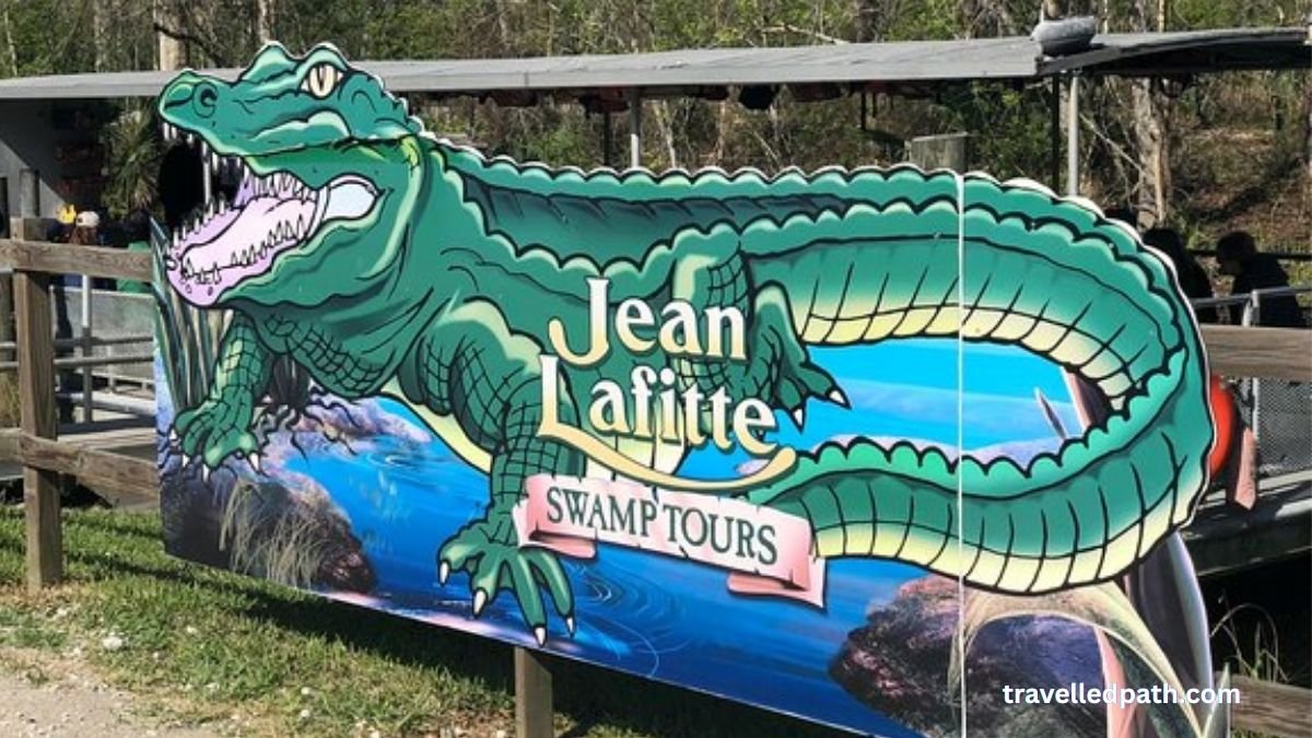 Swamp Tour in Lafitte or Slidell fun things to do near new orleans