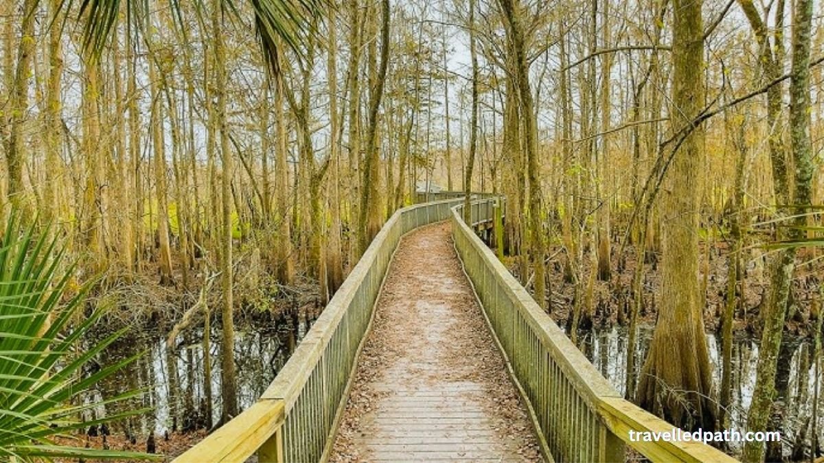 Tibet-Butler Nature Preserve Things to Do in Orlando Besides Theme Parks