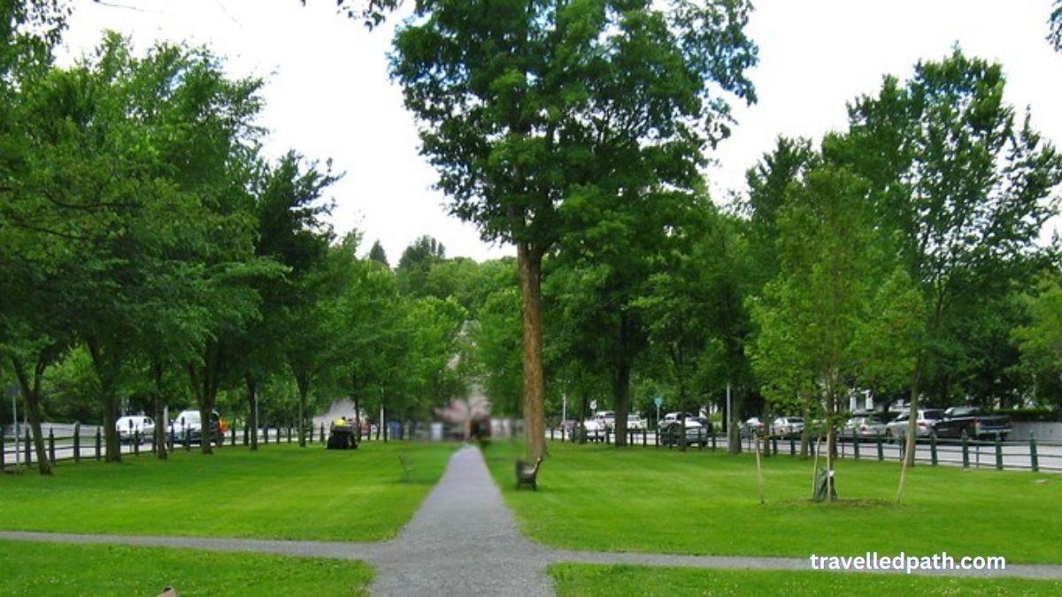 Village Green Best Things to Do in Woodstock