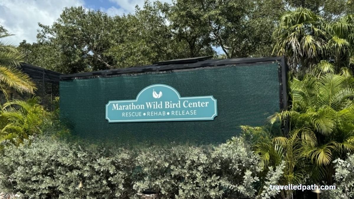 Crane Point Wild Bird Center Best Things to Do in Marathon Florida