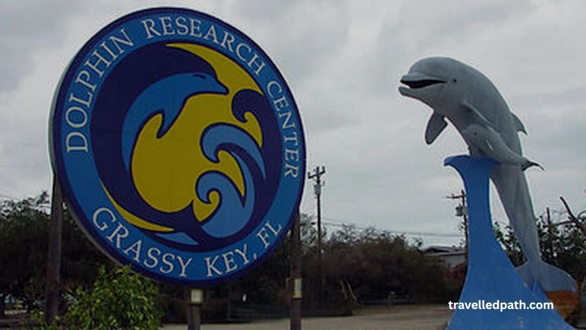 Dolphin Research Center Best Things to Do in Marathon Florida